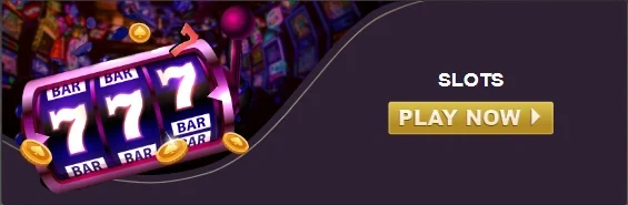XSBet Casino